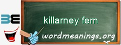 WordMeaning blackboard for killarney fern